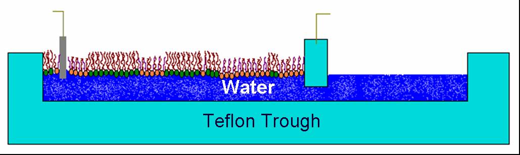 Langmuir Trough