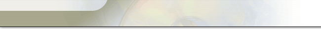 Netstorage Logo NetStorage