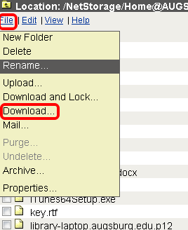 Downloading a file in NetStorage