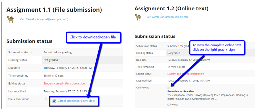 Open the file or online text submission