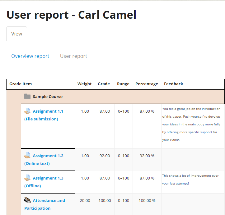 Student view of gradebook