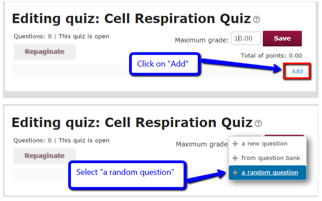 Click "Add" and "a random question"