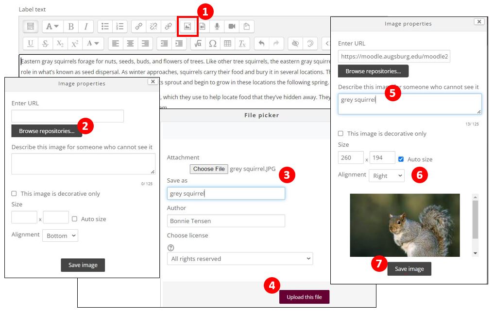 PDF) A Tool to Facilitate Including Accessible Content in Moodle