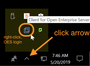 Screenshot showing lower right corner Windows 10 system tray open, circle around OES Client icon