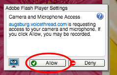 Click "Allow" to let VoiceThread use your microphone and/or webcam.