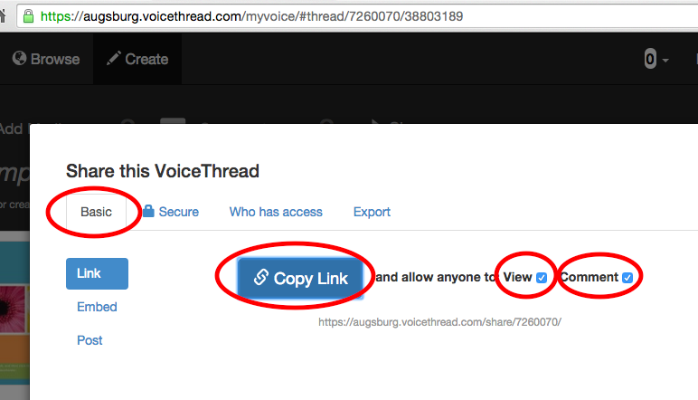 Click the "Basic" tab, then select the "View" and "Comment" checkboxes. Then click the blue "Copy Link" button. The link to your VoiceThread is now on your clipboard ready to paste into Moodle.