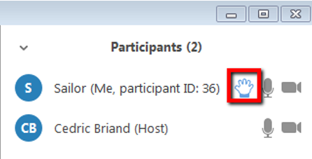 Outline of a hand appears next to the participants name - viewed in the Participants pane as a list of those who joined the Zoom conference