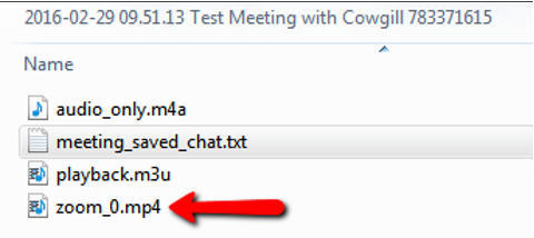 files inside of Zoom folder - audio only (m4a), meeing_saved_chat.txt, playback.m3u, zoom_0.mp4