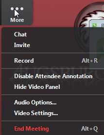 More menu options include Chat, Invite, Record (Alt + R), Disable Attendee Annotation, Hide Video Panel, Audio Options..., Video Settings..., End Meeting (Alt + Q)