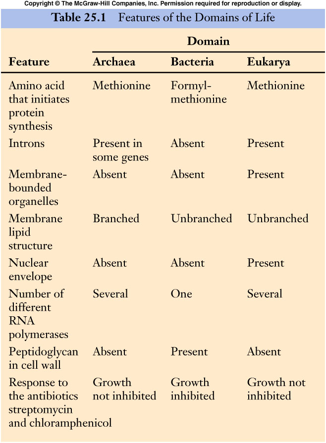 table25-1.jpg