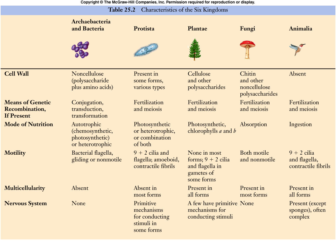 table25-2b.jpg