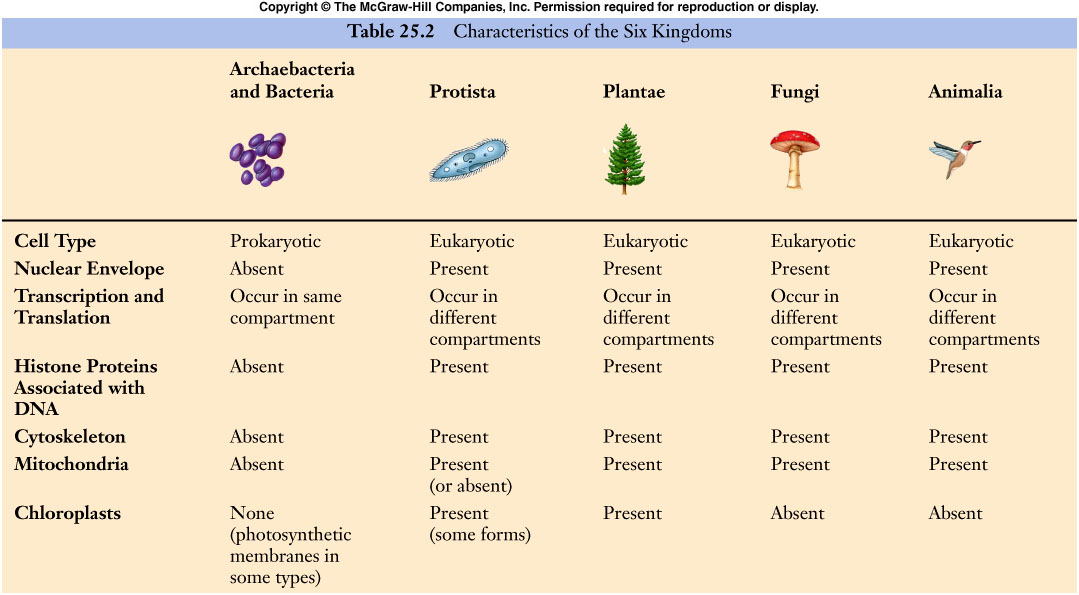 table25-2t.jpg