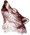 Wolf Howling